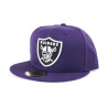 ADULT PURPLE CLEAN UP HAT